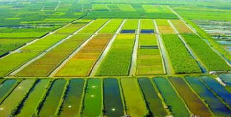 現(xiàn)代化農(nóng)田建設(shè)的要求