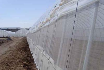 【廠家生產(chǎn)聚乙烯網(wǎng)帶包裝 防蟲網(wǎng) 窗紗網(wǎng)(圖)】價格_廠家_圖片 -