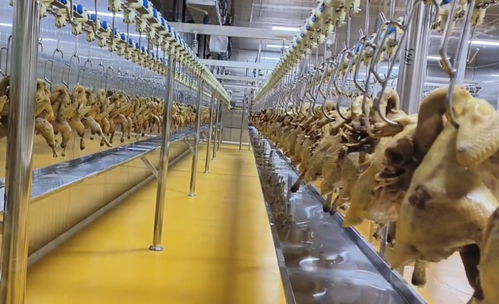 豐都非遺陶壇 酵醒美味，振興農業