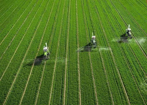 百果園發力果蔬加工 以全程托管服務增值農業，賦能生態農業新生態