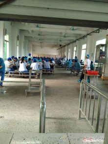 深耕十二載，專業鑄就信賴 德華餐飲引領工廠食堂對外承包新風尚