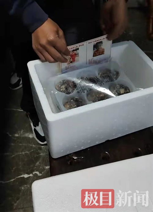 孫海洋跨界餐飲 以包子為媒，將尋親信息送入千家萬戶